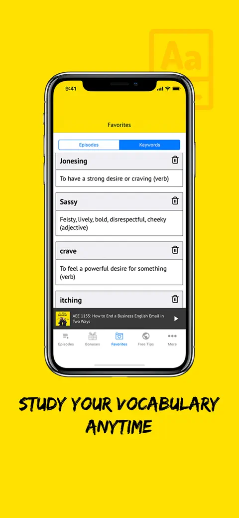 All Ears English Listening screenshot 6