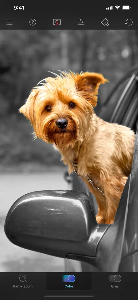 Color Splash screenshot 3