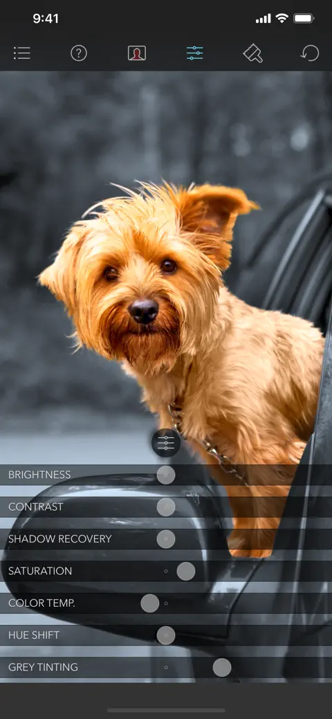 Color Splash screenshot 4