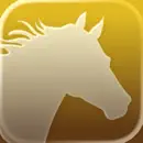 Horse Riding Tracker & Journal