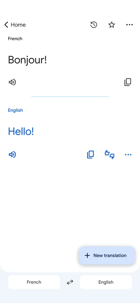 Google Translate screenshot 3