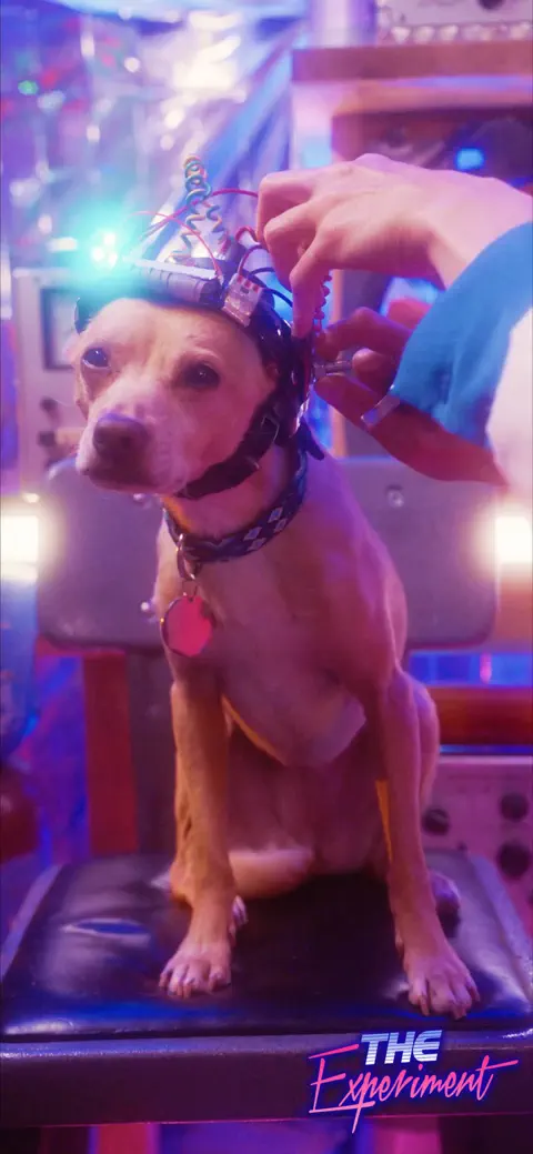 Snax · Interactive movies screenshot 2