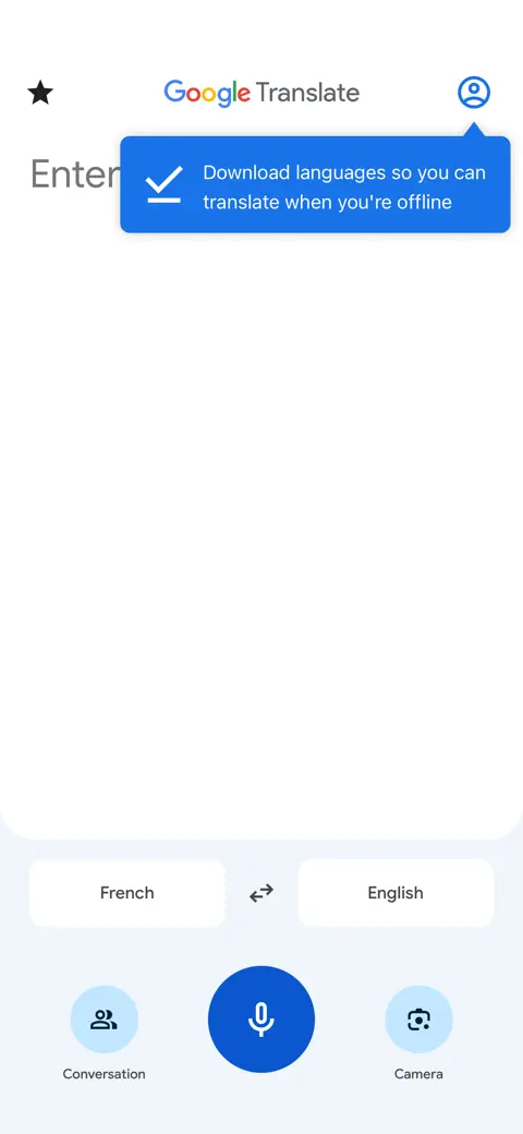 Google Translate screenshot 1