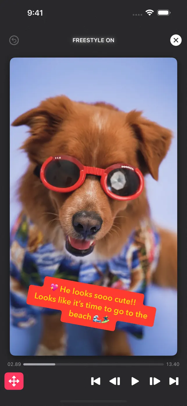 Captionista: Video Subtitles screenshot #4 for iPhone