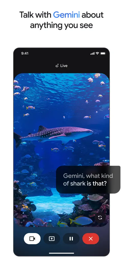 Google Gemini screenshot 4