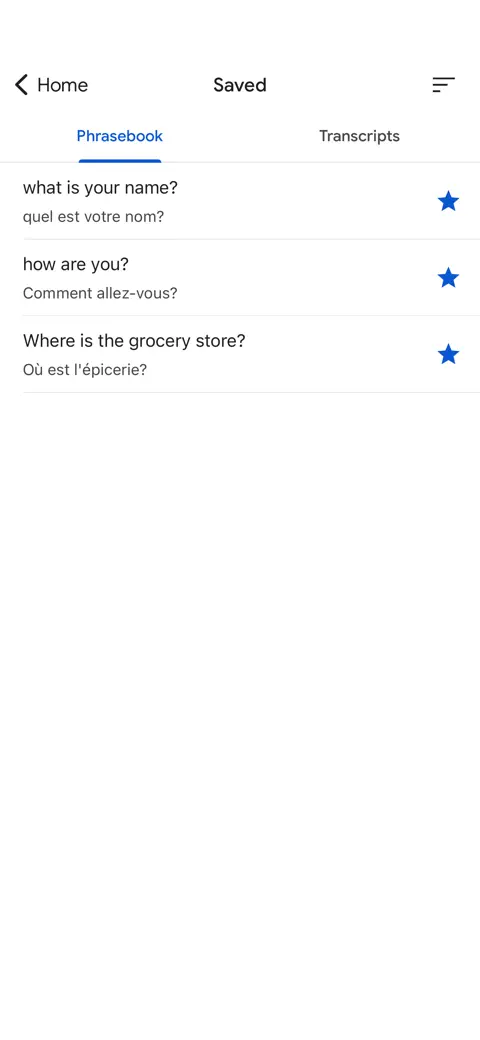 Google Translate screenshot 6