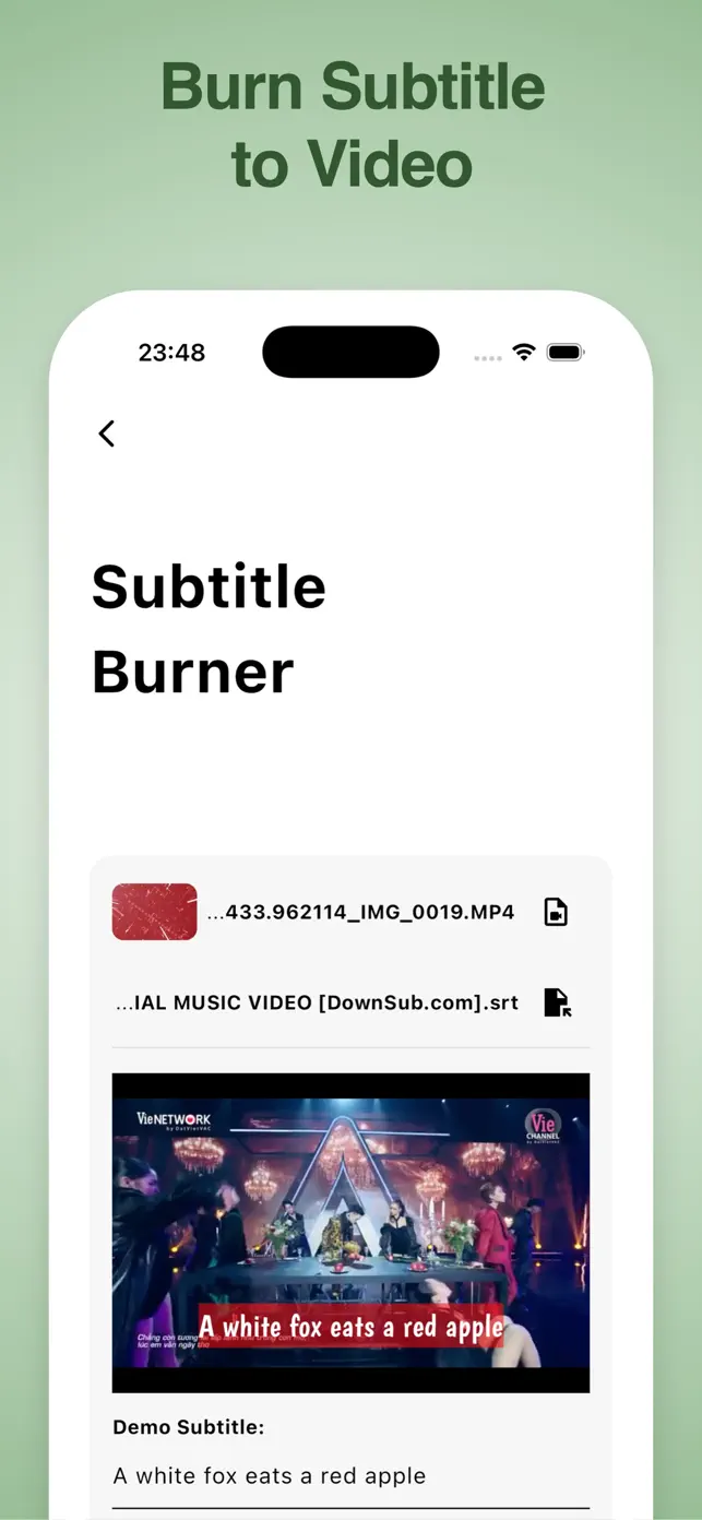 VidSub: Video Subtitle Creator screenshot #4 for iPhone