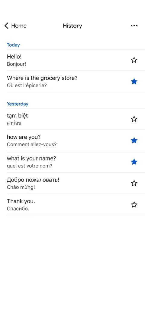 Google Translate screenshot 5