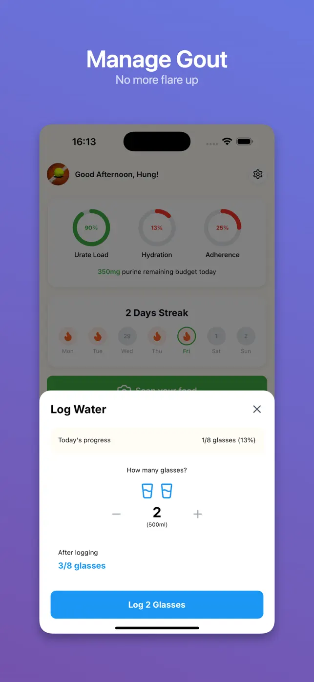 Gout Snap AI: Purine tracker screenshot #2 for iPhone