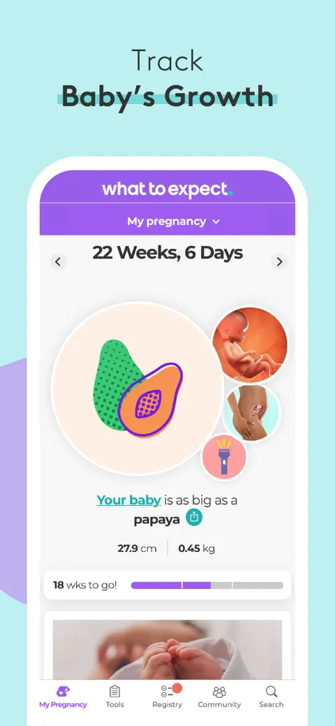 Pregnancy Baby Tracker - WTE screenshot 1