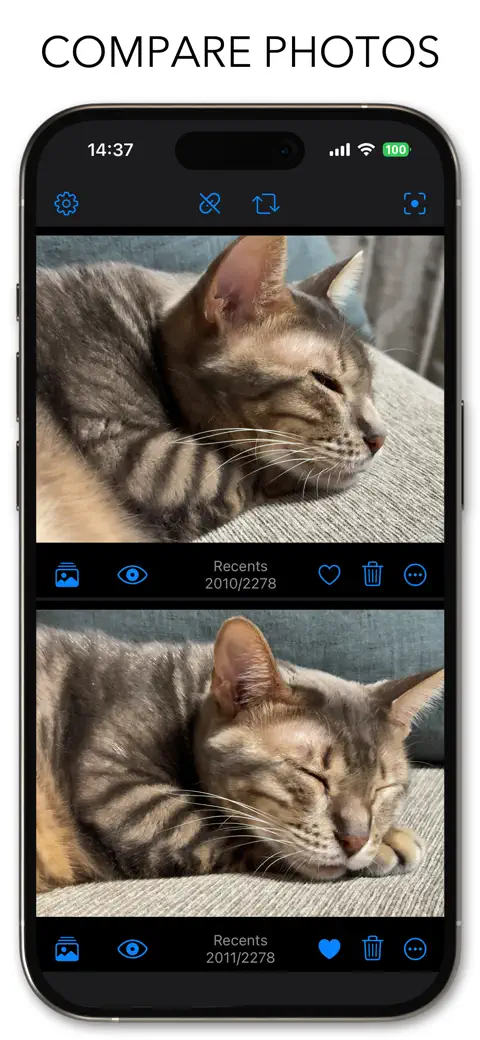 TwinViewer screenshot 1